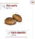 L4.webp
