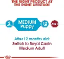 puppy5.webp