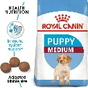 puppy3.webp