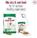 mia11.webp