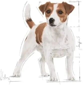 mia6.webp