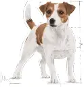 mia6.webp