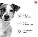 mia2.webp
