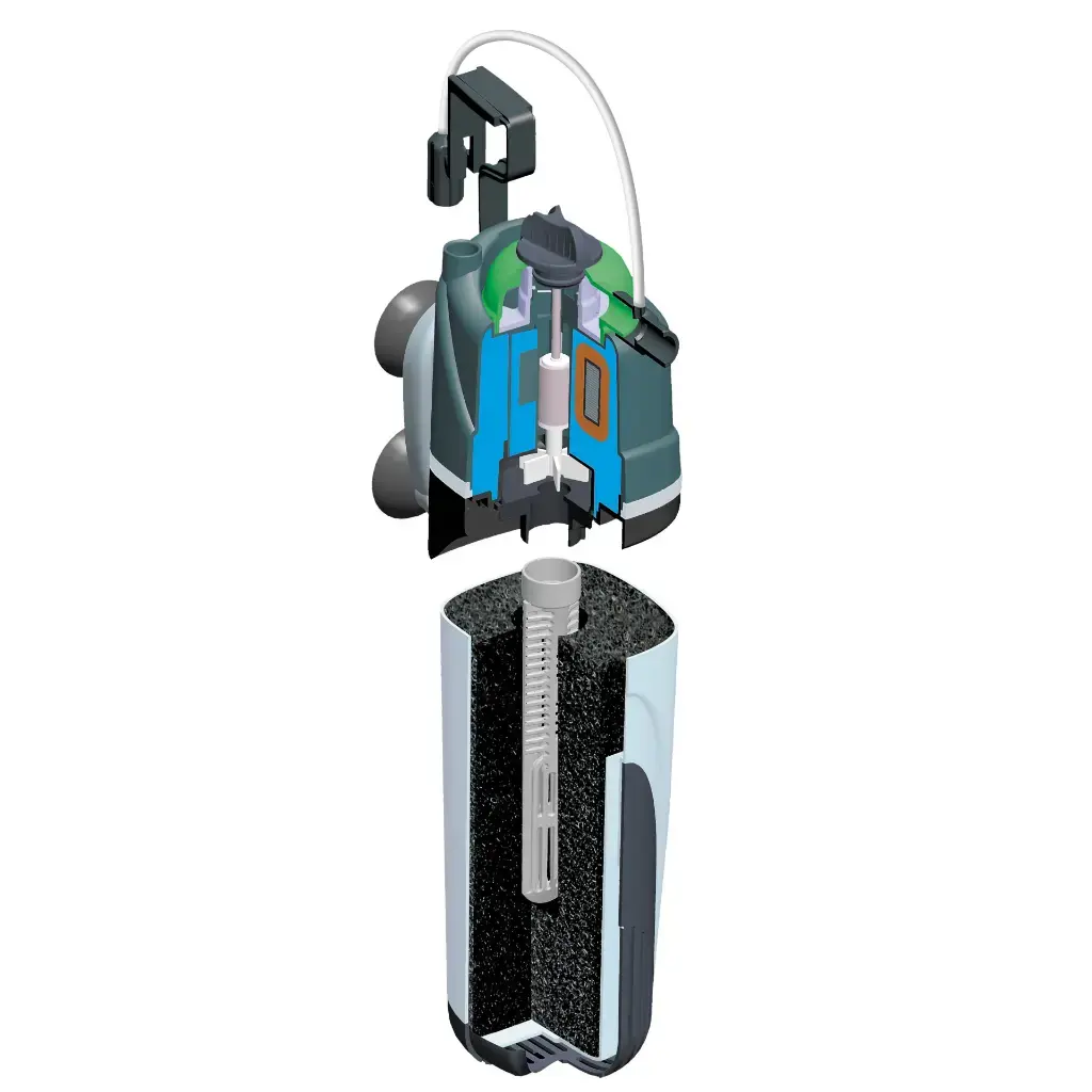 5905546031196-4 (2).webp