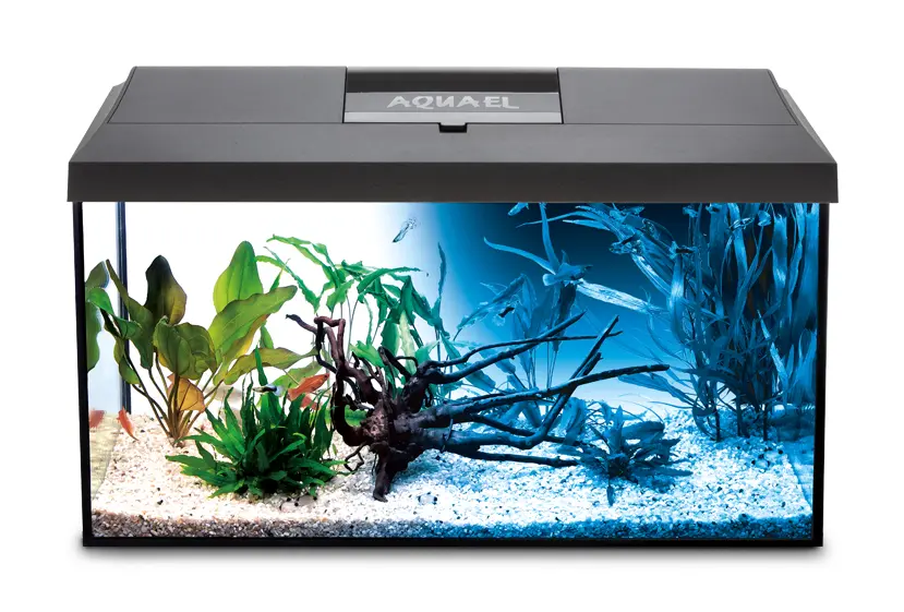 Aquael Aquarium Set Leddy 40 Black Day & Night .webp