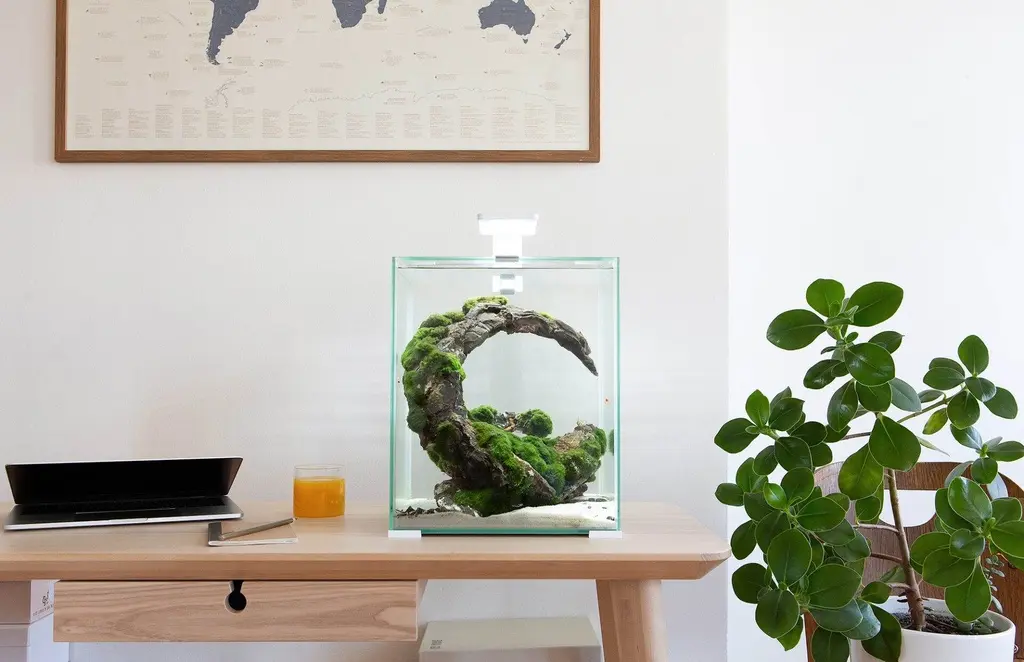 Aquael Shrimp Set Smart White-Day & Night[Volume - 10L] (5).webp