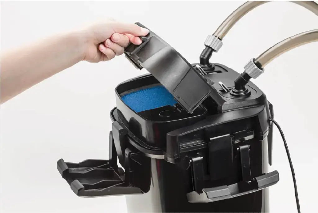 image_1920 (10).webp