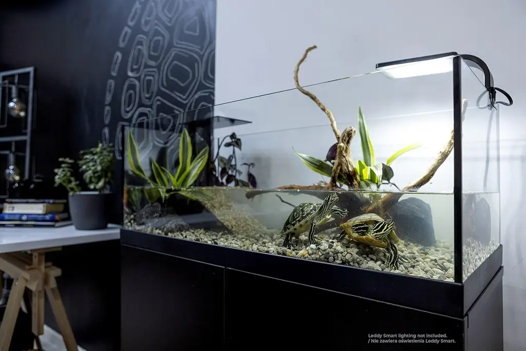 Aquael Aquaterrarium 80.webp