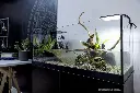 Aquael Aquaterrarium 80.webp