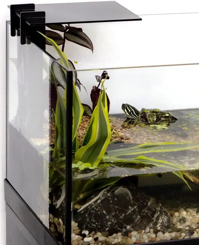 Aquael Aquaterrarium 80 (1).webp