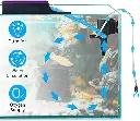 AQ2.webp