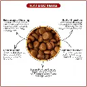 61Xl3dTgwWL._AC_SL1080_ (2).webp