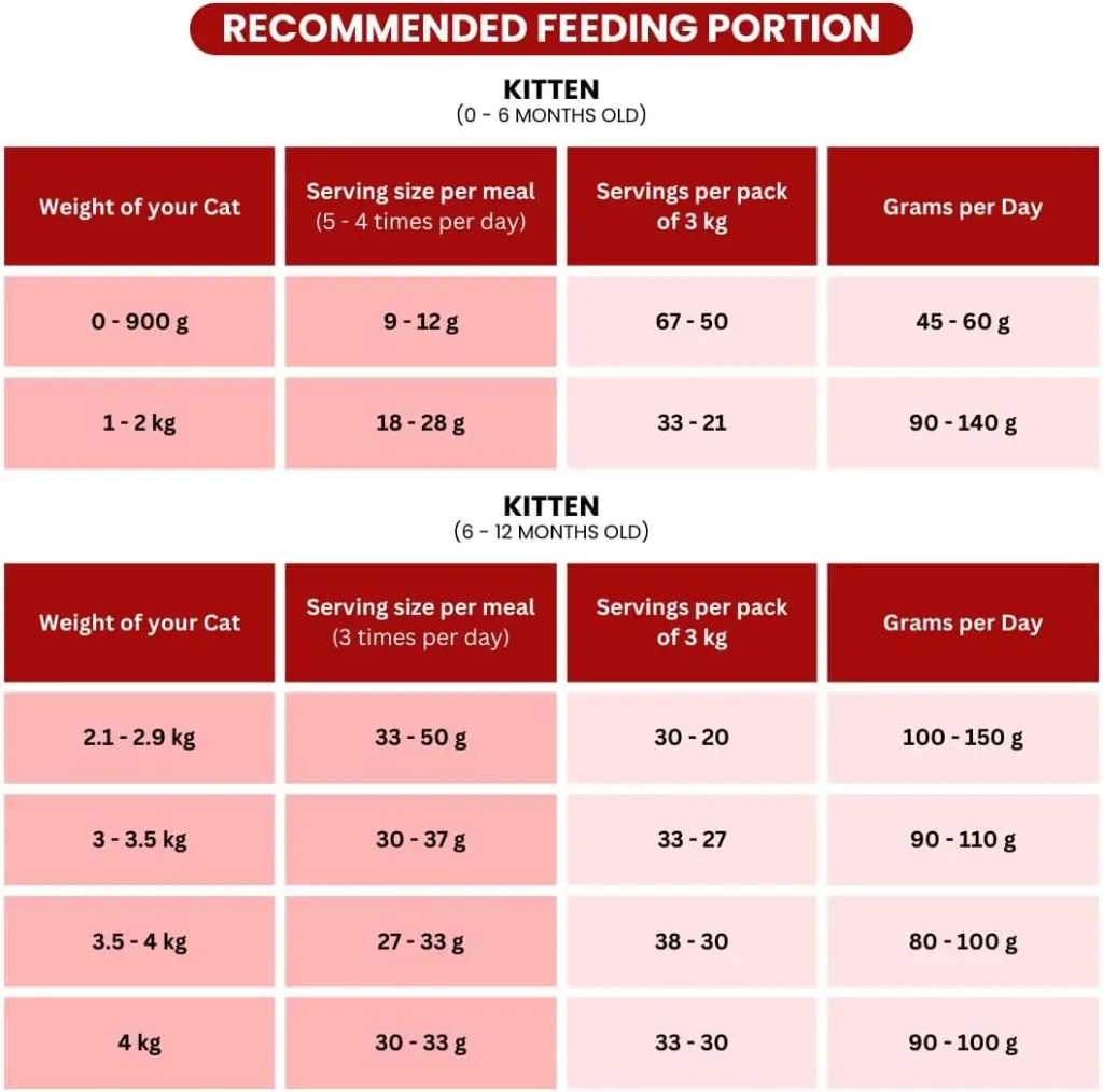 610i7Ep18XL._AC_SL1080_ (1).webp