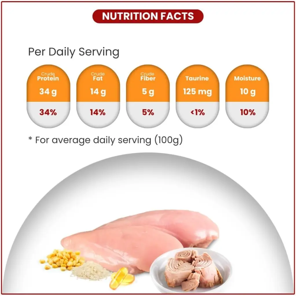 61lGpSpoYyL._AC_SL1080_ (2).webp