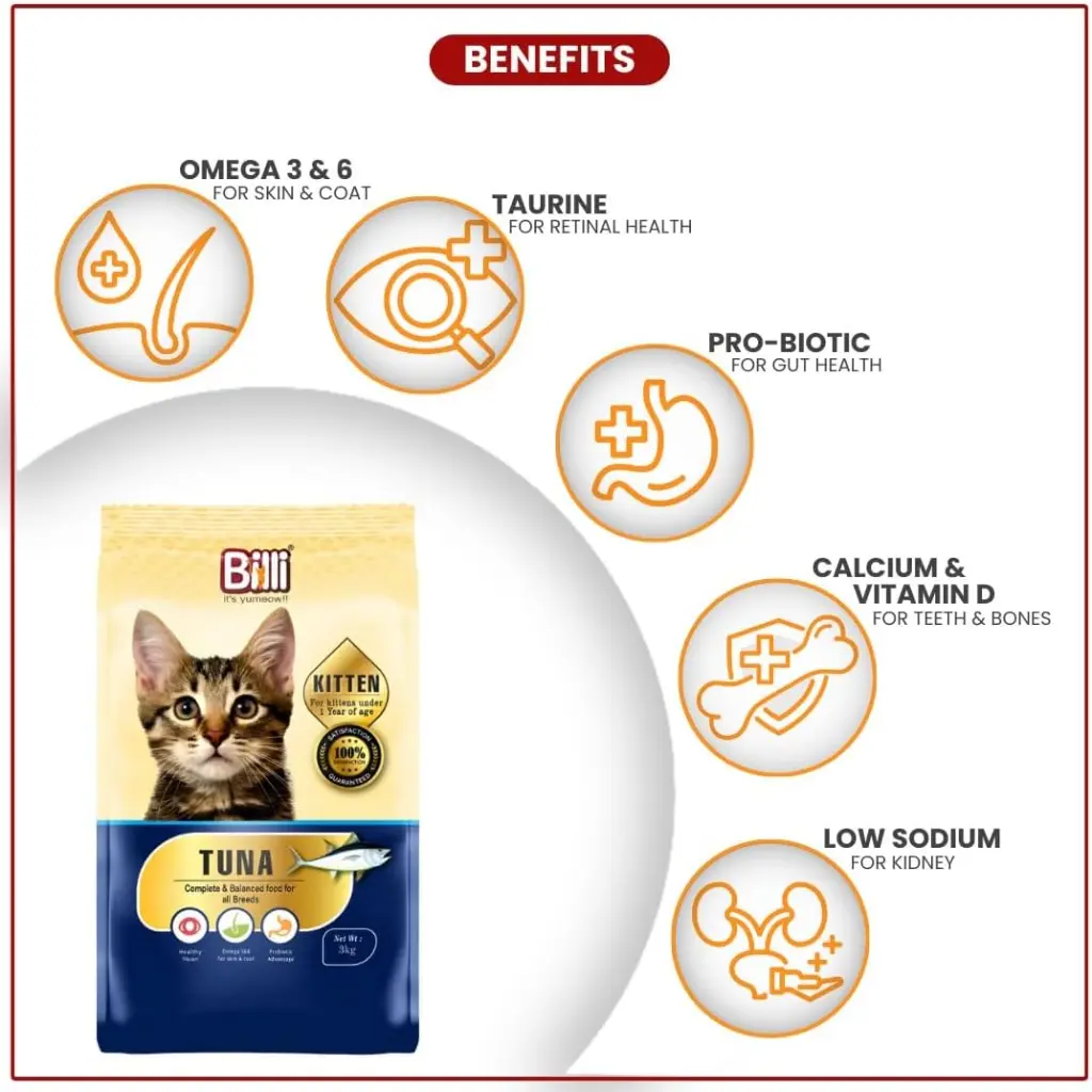 611P8CLCMLL._AC_SL1080_ (1).webp