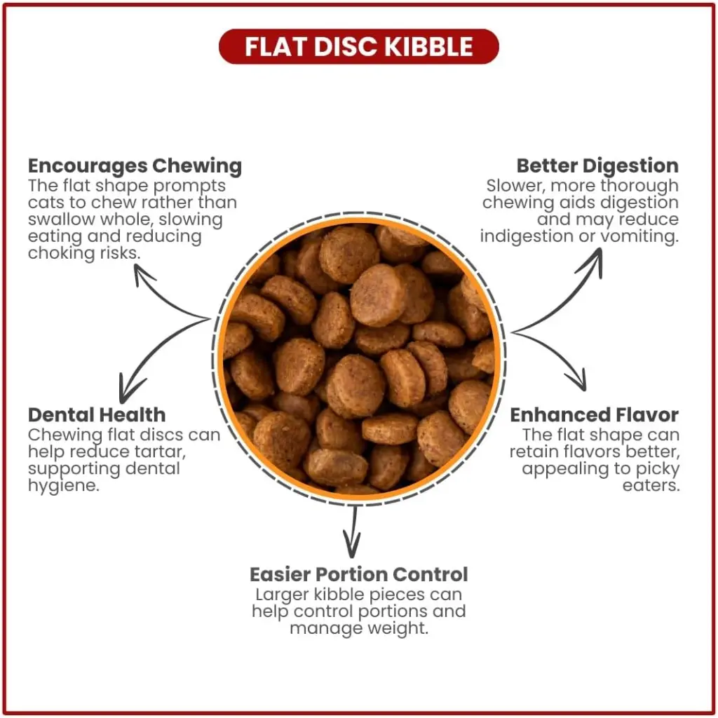 61Xl3dTgwWL._AC_SL1080_ (5).webp