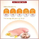 61ZBwo1tTTL._AC_SL1080_.webp