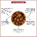 61MskRA4eFL._AC_SL1080_.webp