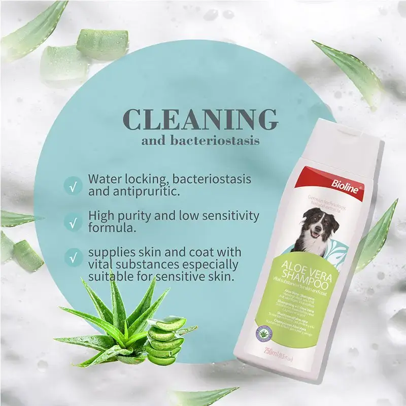 cleaning.webp