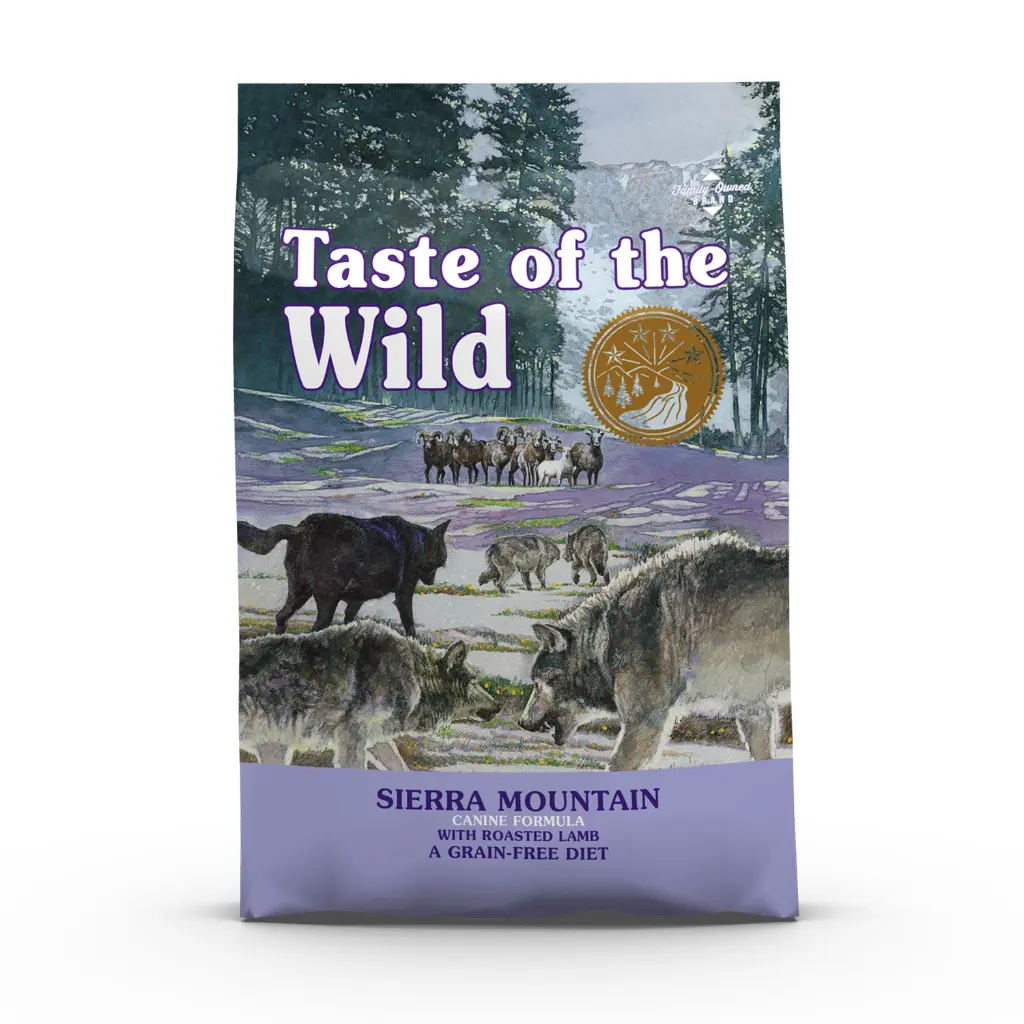 Sierra-Mountain-1.webp
