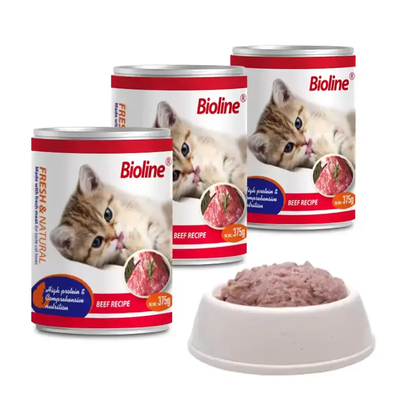 Bb.webp