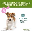 71yB3pRZOtL._AC_SX679_.webp
