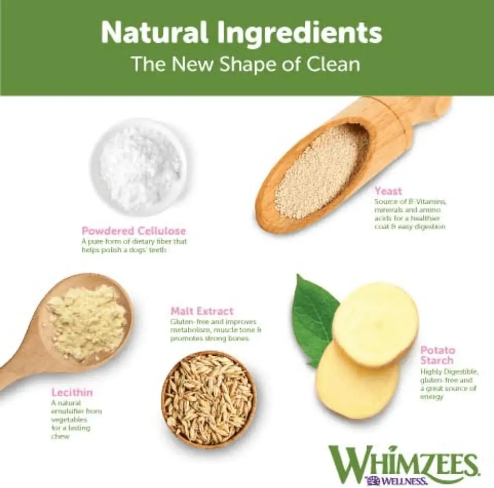 51bqurAm-mL._AC_SL1000_ (1).webp