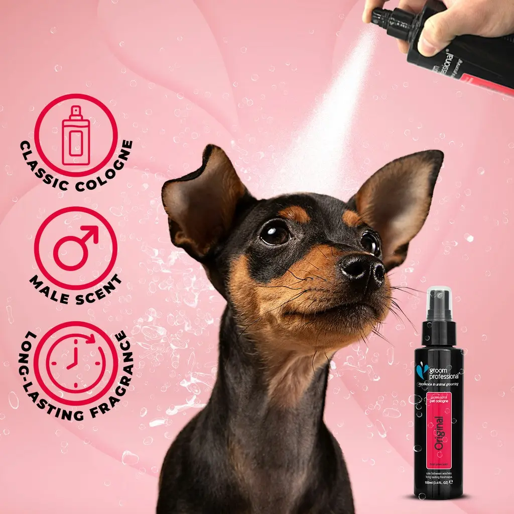 Groom Professional Original Cologne [Perfume][Volume - 100 ml] (2).webp