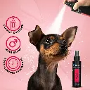 Groom Professional Original Cologne [Perfume][Volume - 100 ml] (2).webp