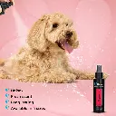 Groom Professional Original Cologne [Perfume][Volume - 100 ml] (1).webp