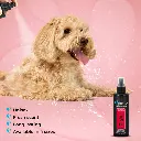 Groom Professional Original Cologne [Perfume][Volume - 200 ml] (2).webp