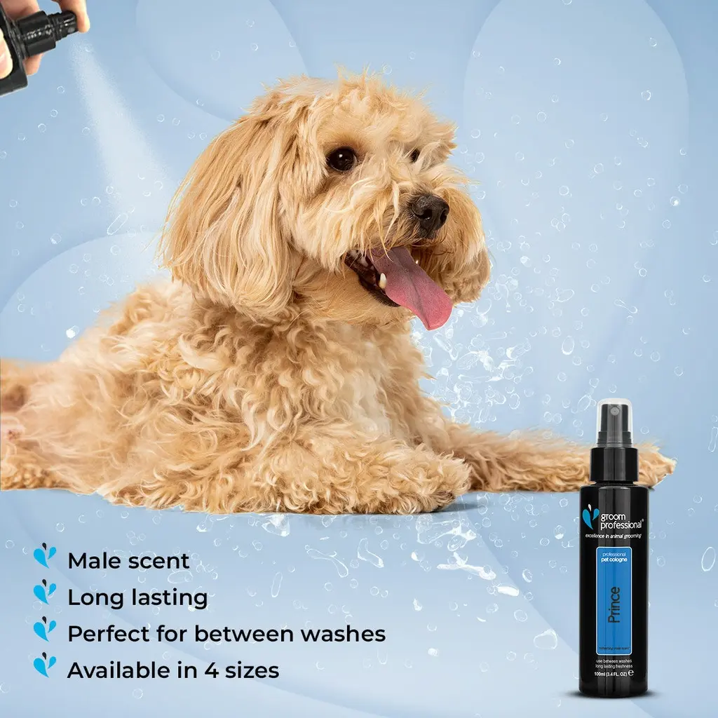 Groom Professional Prince Pet Cologne_Perfume[Volume - 100ml] (2).webp