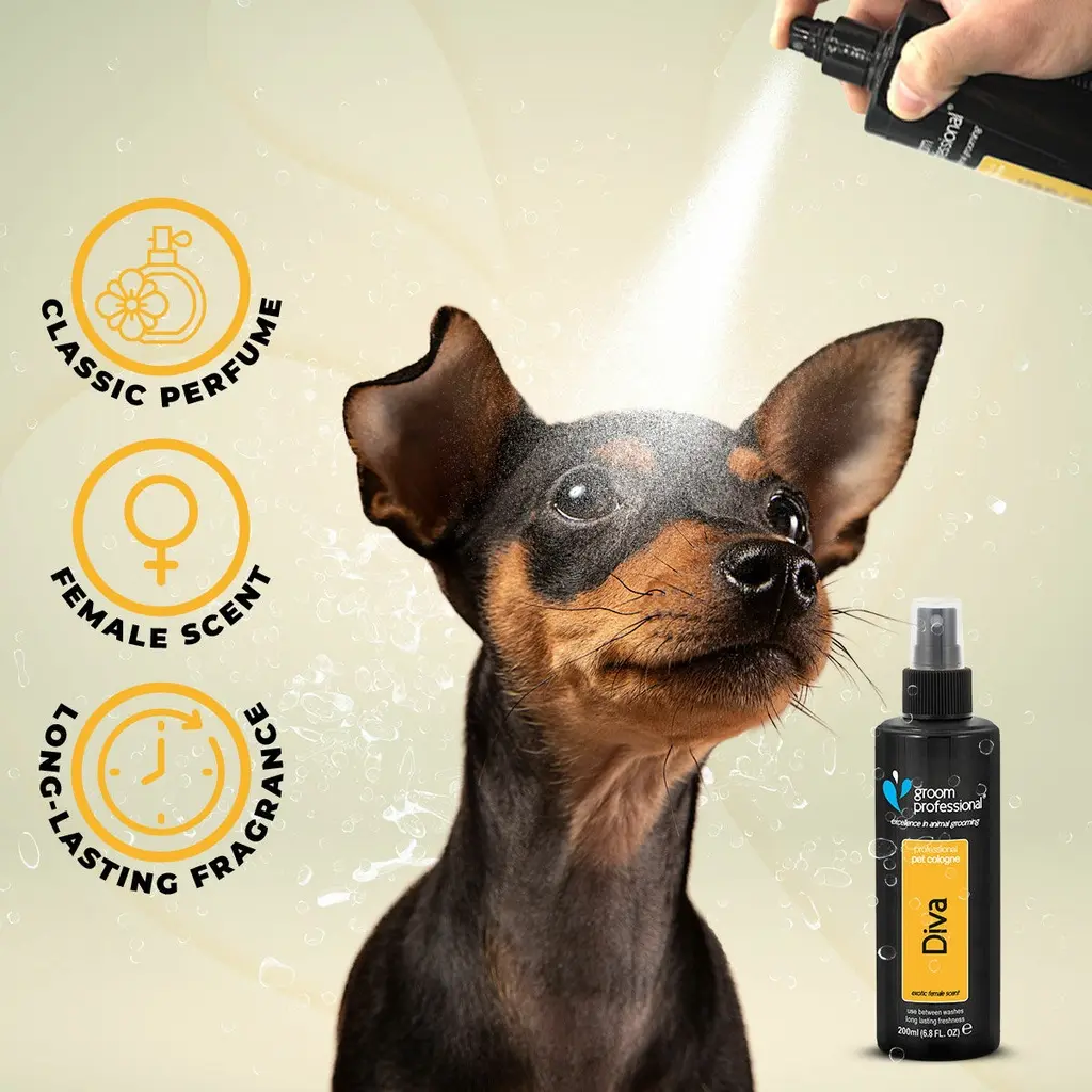 Groom Professional Diva Cologne (Perfume)[Volume - 200 ml, Flavor - Exotic Female Scent] (5).webp