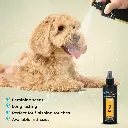 Groom Professional Diva Cologne (Perfume)[Volume - 200 ml, Flavor - Exotic Female Scent] (6).webp