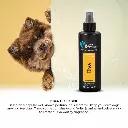 Groom Professional Diva Cologne (Perfume)[Volume - 200 ml, Flavor - Exotic Female Scent] (7).webp
