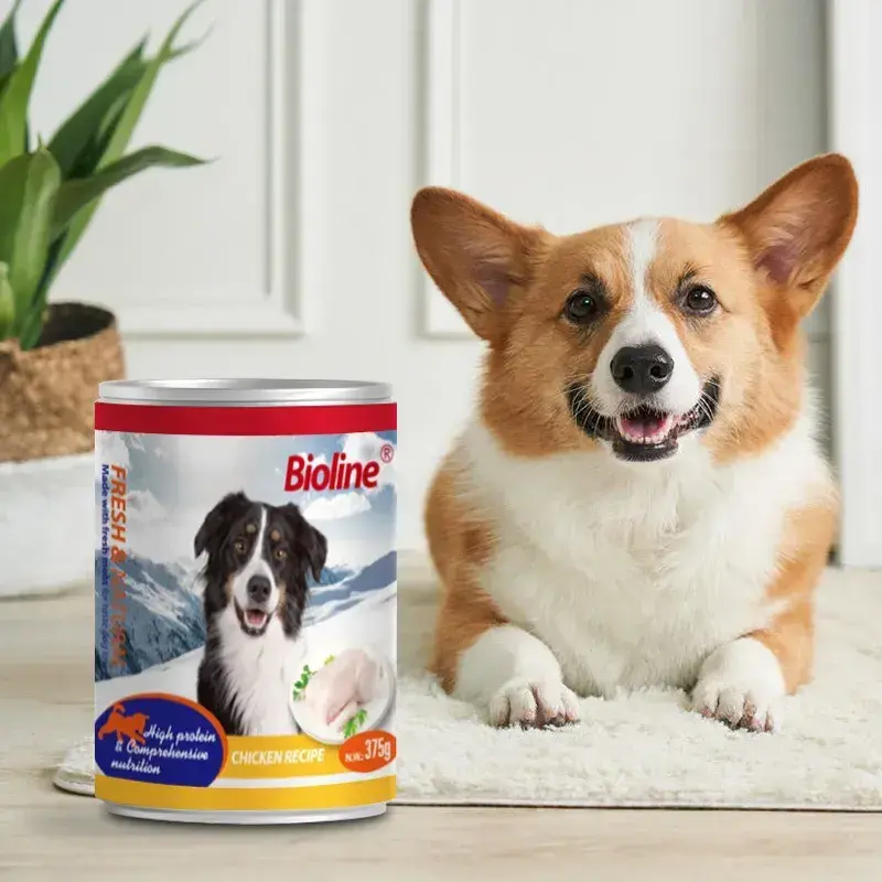 6970117125382-2 (1).webp