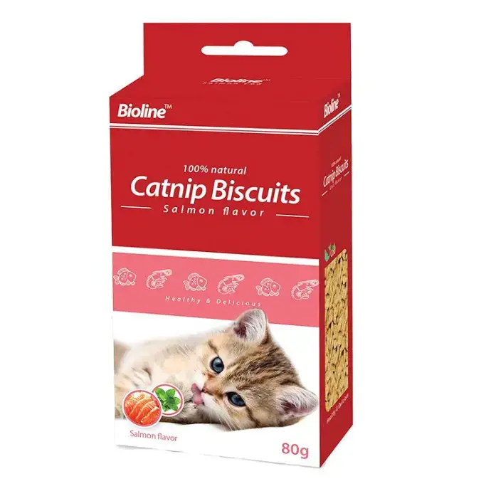 catnip1.webp