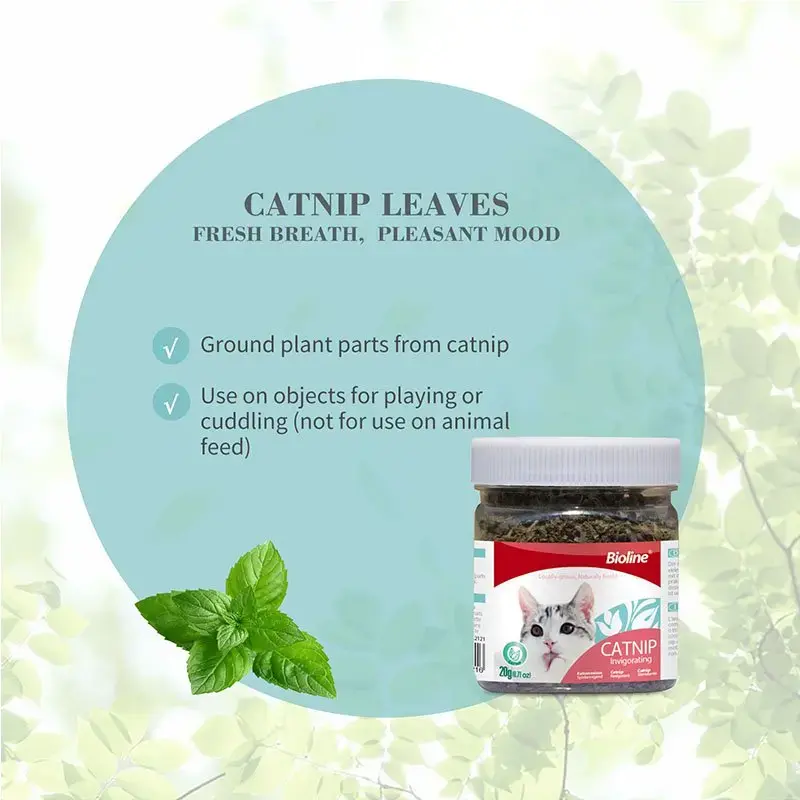 leaves.webp