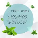 cspy.webp