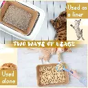 tray6.webp