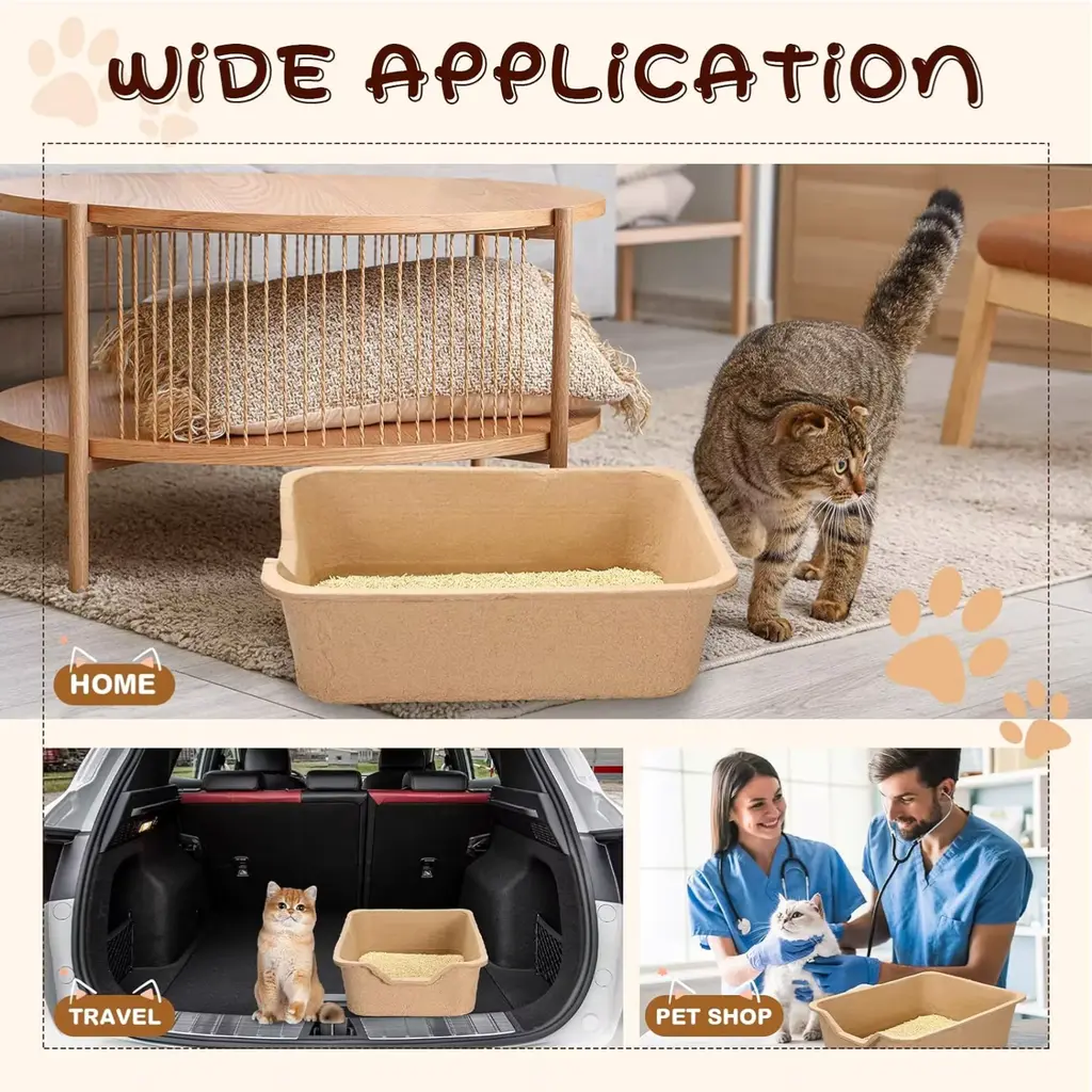tray4.webp