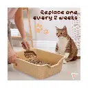 tray3.webp