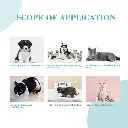 scope of application.webp