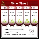 DOCO® Signature Nylon Collar-2.0 x 34-51cm(M)-Turquoise (2).webp