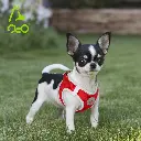 71GiaJkXdqL._AC_SL1500_[1].webp