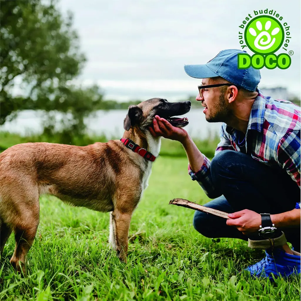 DOCO Signature Nylon Collar (DCSN002)[Color - Orange, Size - M] (2).webp