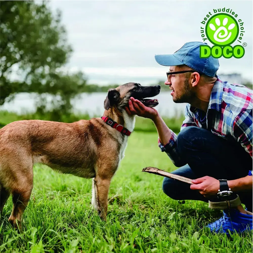 DOCO Signature O - Ring Collar[Color - Maroon, Size - XS] (2).webp