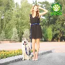 91kp-rL0beL._AC_SL1500_[1].webp