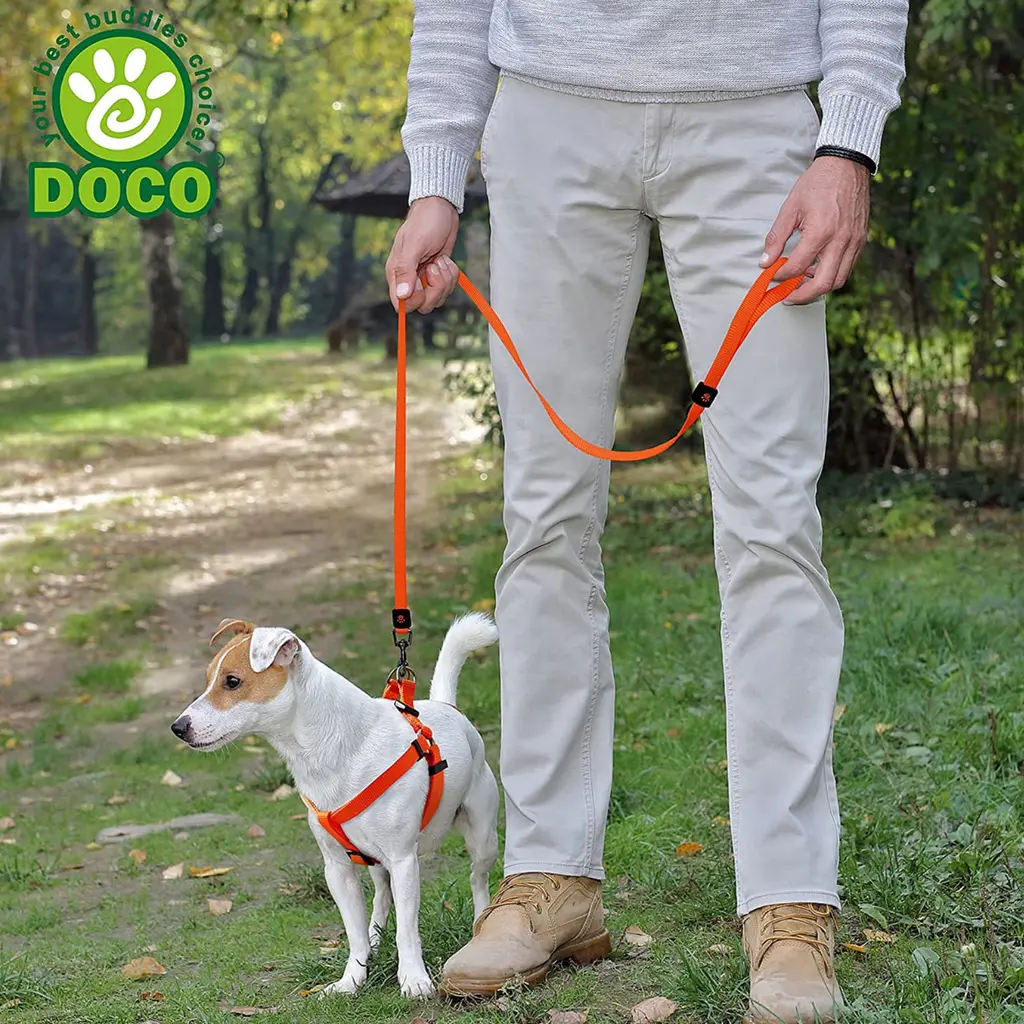Doco 4ft Signature Nylon Leash (DCSN1048)[Color - Pink, Size - M] (1).webp
