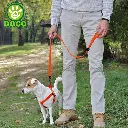 Doco 4ft Signature Nylon Leash (DCSN1048)[Color - Pink, Size - M] (1).webp